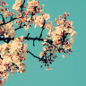 Meet your Posher, Laila